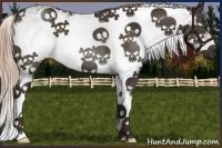 Horse Color:Liver Chestnut Sabino