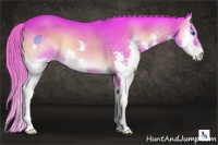Horse Color:Watercolor Liver Red Onyx Splash