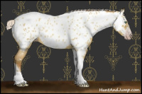 Horse Color:Gray Silver Amber Cream Champagne Roan Dun Splash Tobiano Frame Near Leopard Rabicano 