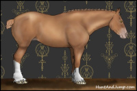 Horse Color:Gray Gold Champagne 