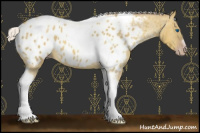 Horse Color:Gray Silver Amber Cream Champagne Roan Dun Splash Tobiano Frame Appaloosa Rabicano 
