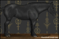 Horse Color:Gray Black 