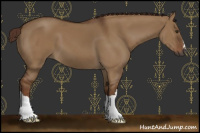 Horse Color:Gray Red Dun 