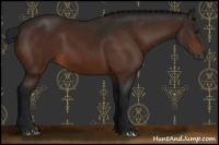 Horse Color:Gray Brown 