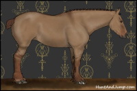 Horse Color:Gray Red Dun