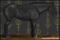 Horse Color:Gray Black 