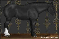 Horse Color:Gray Black 