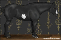 Horse Color:Gray Black Frame 