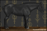Horse Color:Gray Black 