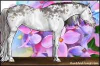 Horse Color:White Spotted Liver Chestnut Ice Splash Rabicano 
