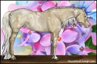 Horse Color:White Spotted Liver Red Dun Ice Pearl Sabino Rabicano