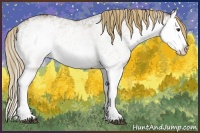 Horse Color:White Spotted Liver Red Dun Splash 