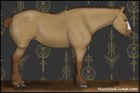 Horse Color:Gray Red Dun 