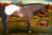 Horse Color:Bay Roan Snowcap 