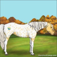 Horse Color:Silver Buckskin Dun Tobiano Near Leopard 