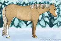 Horse Color:Chocolate Palomino Roan Dun Rabicano