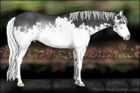 Horse Color:Silver Brown Chinchilla Splash 