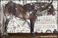 Horse Color:White Spotted Bay and White Spotted Midnight Silver Black Ice