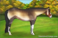 Horse Color:Brown Onyx