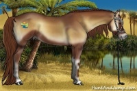 Horse Color:Red Onyx Rabicano