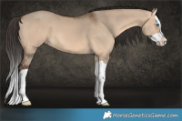 Horse Color:Bay Dun Splash 