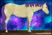 Horse Color:Watercolor Buckskin Ice 