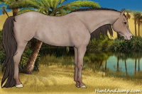 Horse Color:Classic Champagne Roan 
