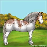 Horse Color:White Spotted Silver Bay 