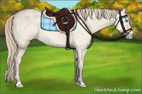 Horse Color:Perlino Dun 
