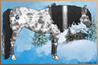 Horse Color:White Spotted Blue Ice Roan