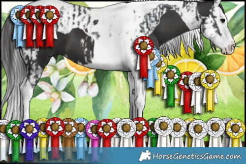 Horse Color:Black Splash Tobiano  and Smoky Black Splash Tobiano 