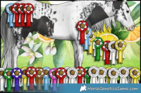 Horse Color:Black Splash Tobiano  and Smoky Black Splash Tobiano 