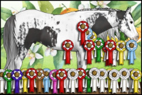 Horse Color:Black Splash Tobiano  and Smoky Black Splash Tobiano 