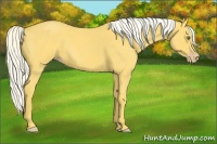 Horse Color:Silver Classic Cream Champagne Roan 