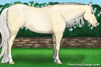 Horse Color:Silver Smoky Black Pearl Rabicano 