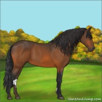 Horse Color:Brown 
