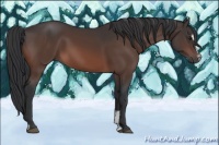 Horse Color:Bay Mushroom Sabino