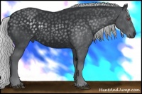 Horse Color:Silver Black Chinchilla 