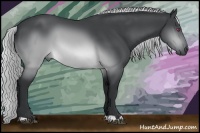 Horse Color:Silver Brown Chinchilla 