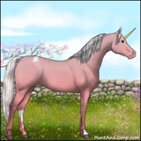 Horse Color:Silver Buckskin Appaloosa 