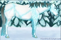 Horse Color:Thunderstruck White Spotted Amber Champagne Dun Splash 