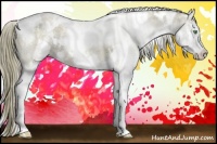 Horse Color:White Spotted Liver Red Dun Ice Splash Rabicano 