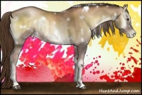 Horse Color:White Spotted Liver Red Onyx Pearl Rabicano