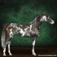 Horse Color:White Spotted Liver Chestnut Sabino 