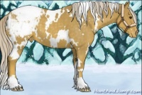 Horse Color:White Spotted Palomino Snowcap 