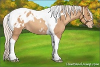 Horse Color:Silver Sable Champagne Tobiano Appaloosa 