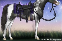 Horse Color:Liver Chestnut Sabino Tobiano Rabicano 