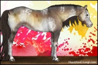 Horse Color:White Spotted Liver Red Onyx Ice Sabino Rabicano 