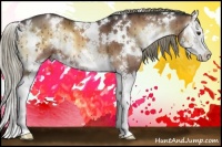 Horse Color:White Spotted Liver Red Onyx Mushroom Sabino Splash 