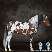 Horse Color:White Spotted Liver Chestnut